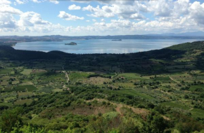 Vista Lago